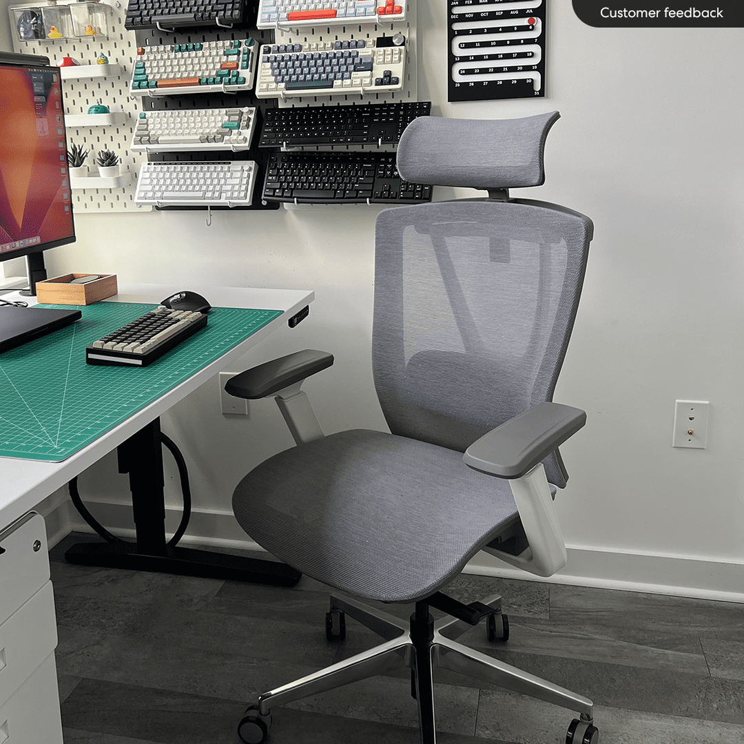 Autonomous - ErgoChair Pro Office Chair Lumbar Support Cool Gray - Mesh - Serious Techies