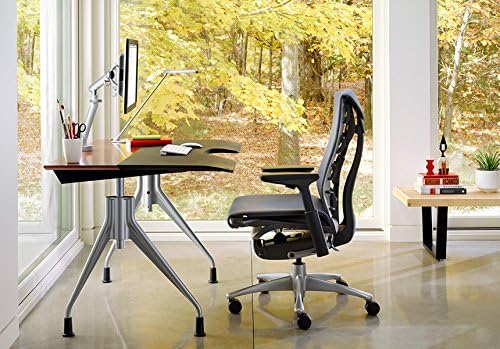 Herman Miller - Embody Ergonomic Office Chair | Fully Adjustable Arms and Carpet Casters | Black Rhythm - Serious Techies