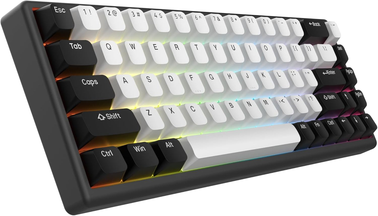 ARBITER - Polar 65 - CNC Magnetic Gaming Keyboard W Rapid Trigger, Hall Effect Switches, CNC Aluminum Frame, Rapid Key, 65% Compact, Bright RGB, Dual-Shot PBT Keycaps - White Panda - Serious Techies