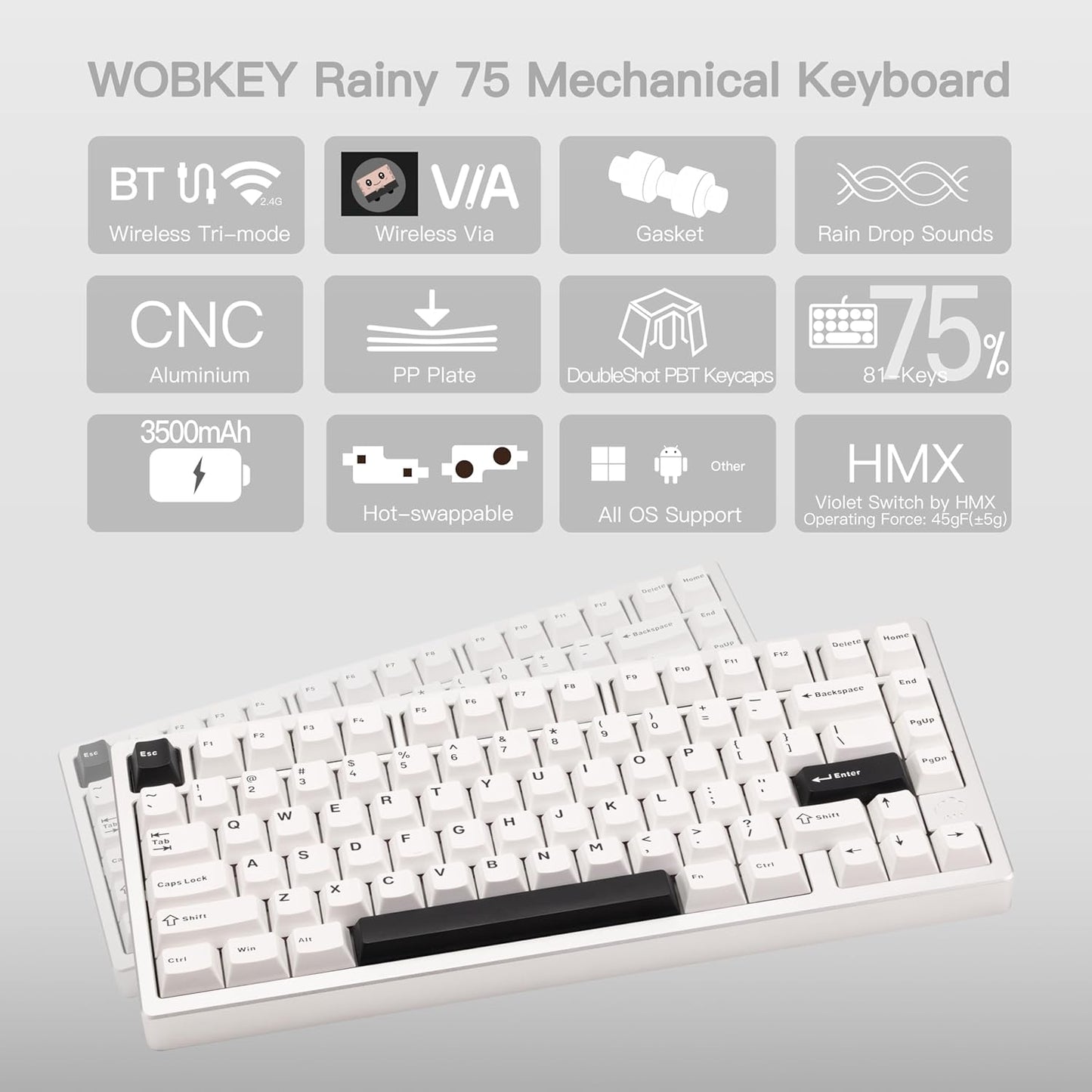 WOBKEY - Rainy 75 CNC Aluminum Hmx/Jwk/Cocoa Switches Triple-Mode Connectivity Mechanical Keyboard with Superior Acoustics, No Rgb/Pp/Mirrored Glass/3500Mah/Violet Switch (Lite - Silver) - Serious Techies