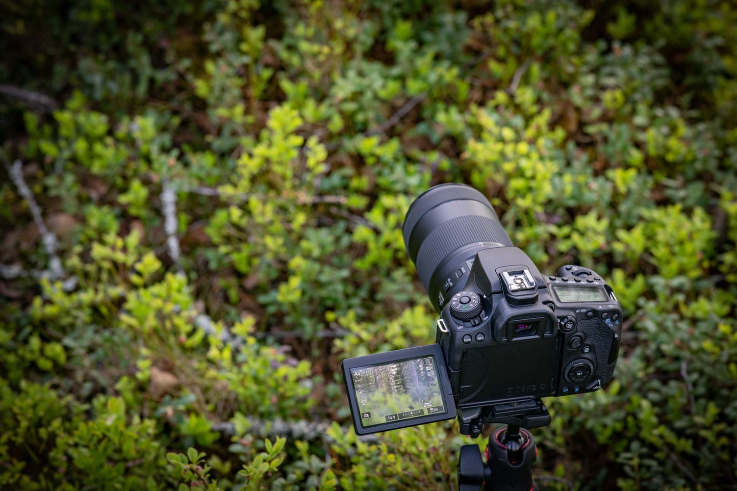 Canon - EOS 90D - Digital Camera - SLR - 32.5 MP - 4K / 30 Fps - 7.5X Optical Zoom EF-S 18-135Mm IS USM Lens - Wi-Fi, Bluetooth - Serious Techies