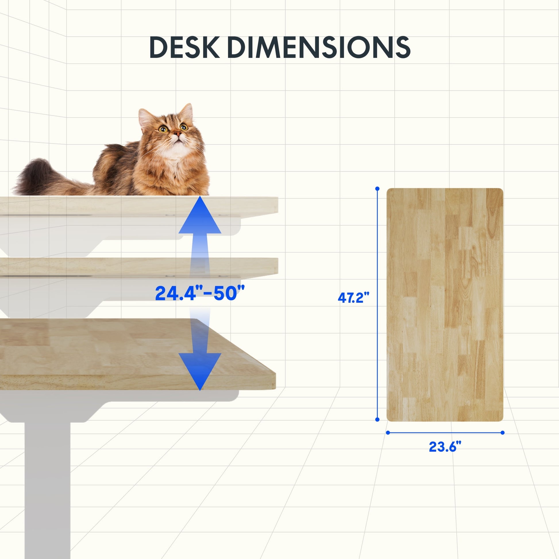 FLEXISPOT - 48"X24" Dual Motors 3-Stage Standing Desk Solid Wood Home Office Height Adjustable Desk with Wheels, Solid Rubber Wood Desktop and White Frame - Serious Techies