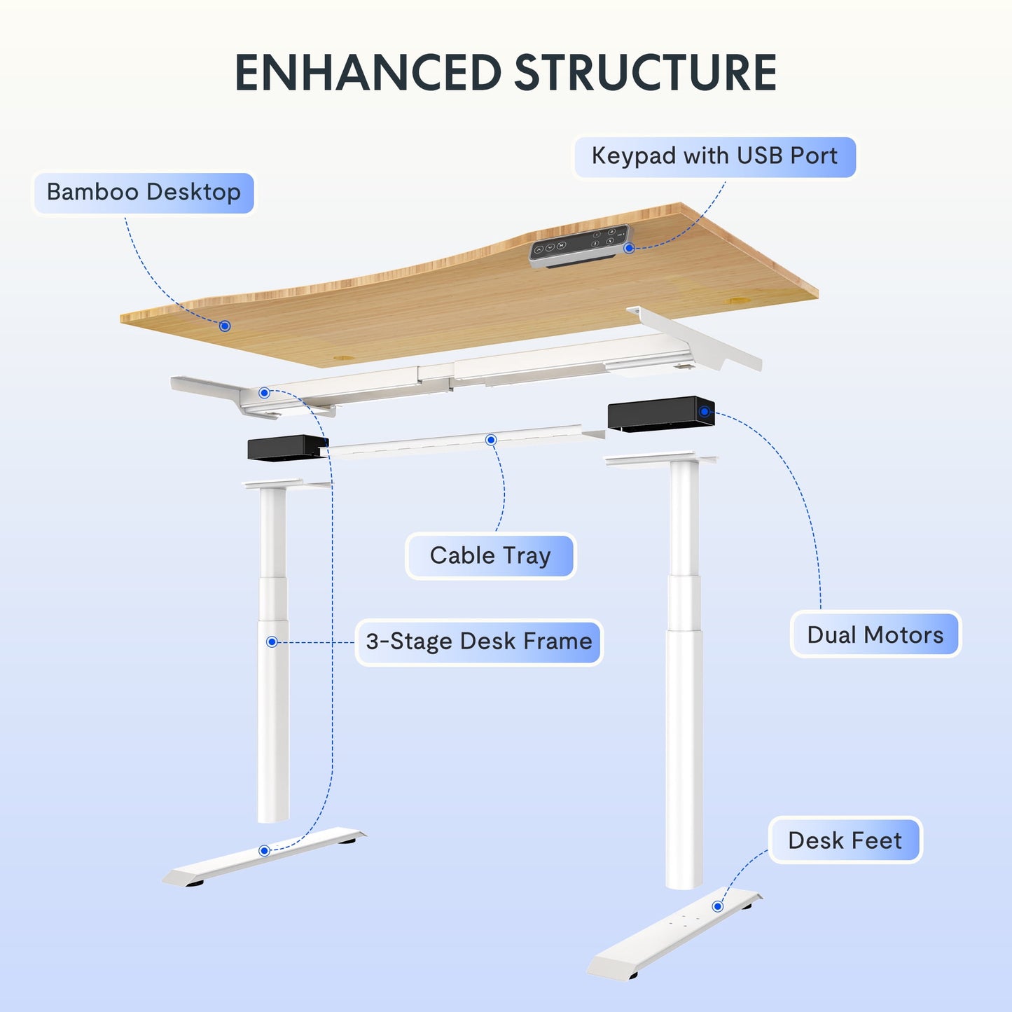 FLEXISPOT - 48"X24" Dual Motors 3-Stage Height Adjustable Standing Desk Ergonomic Home Office Sit Stand Desk with USB Port, Bamboo Curved Desktop White Oval Frame - Serious Techies