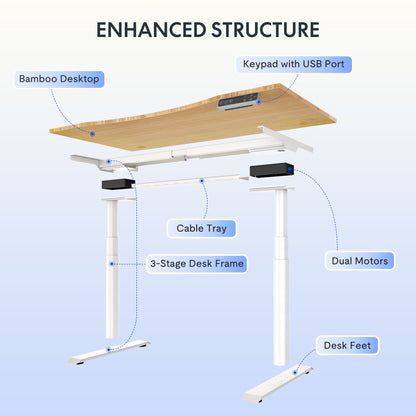 FLEXISPOT - 48"X24" Dual Motors 3-Stage Height Adjustable Standing Desk Ergonomic Home Office Sit Stand Desk with USB Port, Bamboo Curved Desktop White Oval Frame - Serious Techies