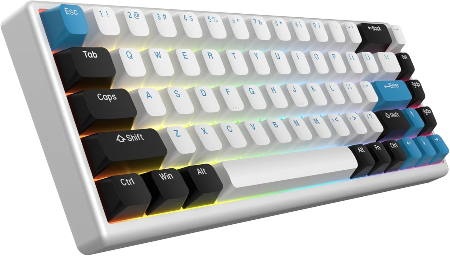 ARBITER - Polar 65 - CNC Magnetic Gaming Keyboard W Rapid Trigger, Hall Effect Switches, CNC Aluminum Frame, Rapid Key, 65% Compact, Bright RGB, Dual-Shot PBT Keycaps - White Panda - Serious Techies