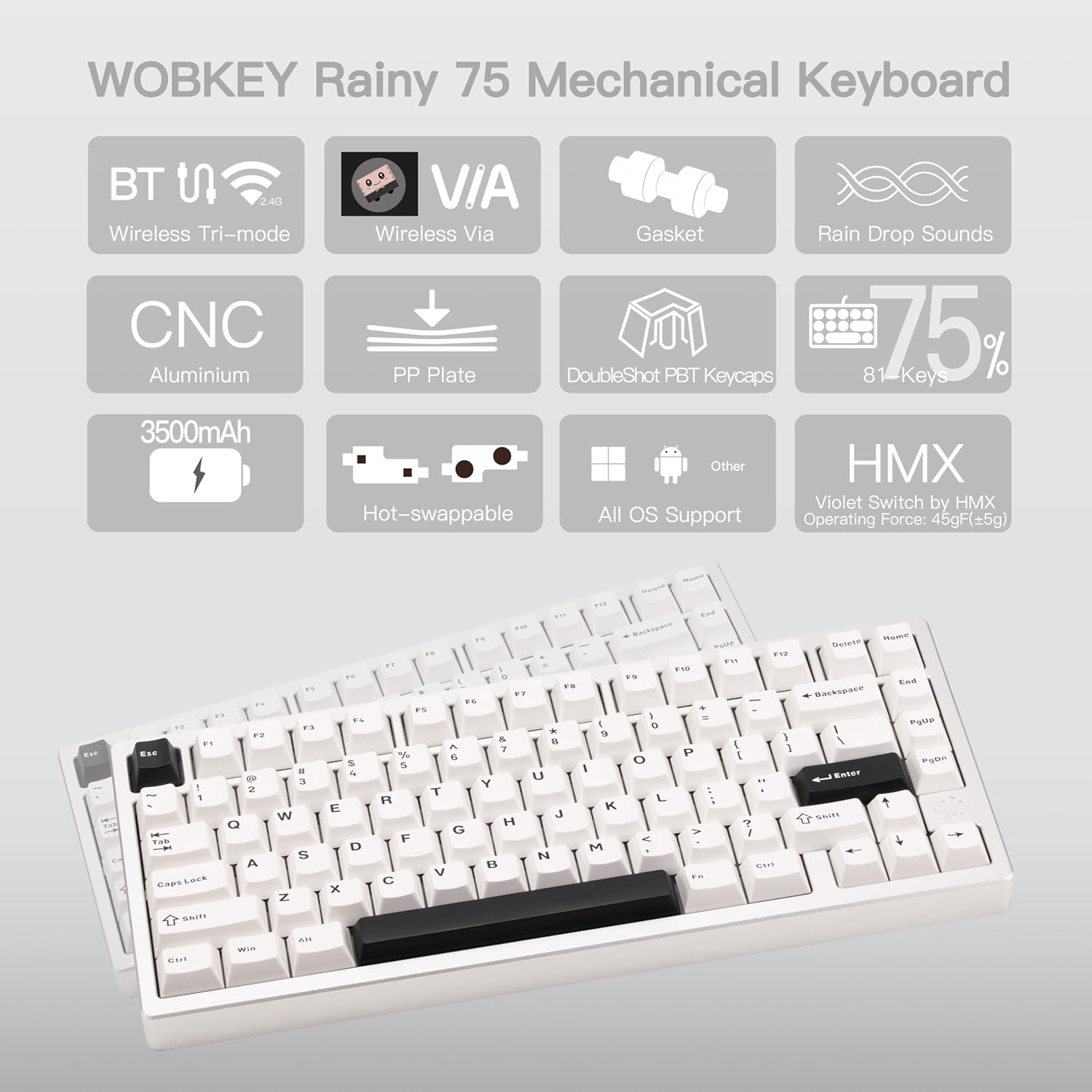 WOBKEY -  Rainy 75 CNC Aluminum Hmx/Jwk/Cocoa Switches Triple-Mode Connectivity Mechanical Keyboard with Superior Acoustics, No Rgb/Pp/Mirrored Glass/3500Mah/Violet Switch (Lite - Silver) - Serious Techies