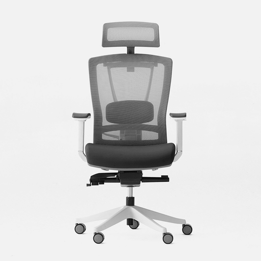 Autonomous - Ergochair Pro Office Chair Lumbar Support Black and White - Foam - Serious Techies