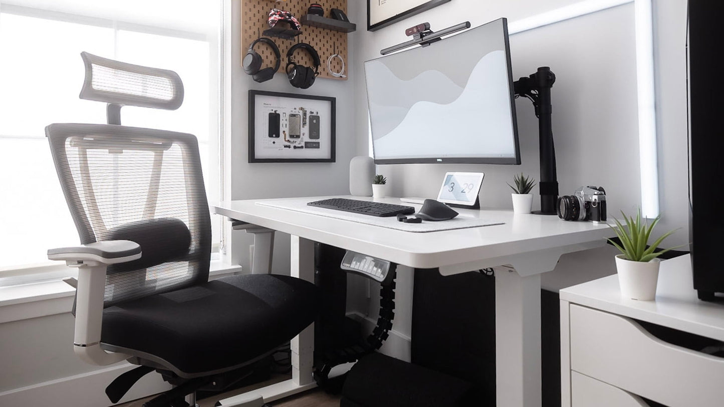 Autonomous - Ergochair Pro Office Chair Lumbar Support Black and White - Foam - Serious Techies